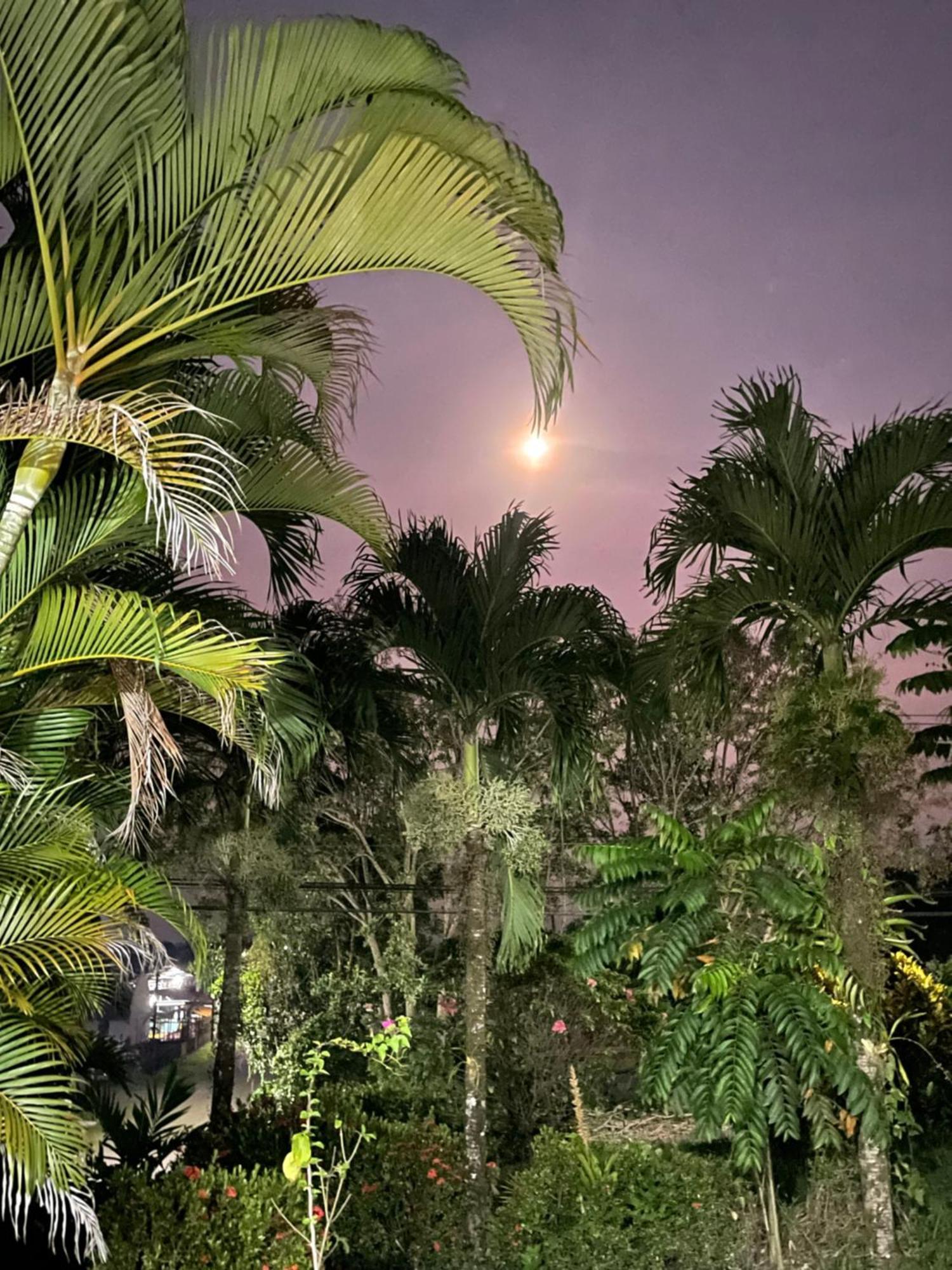 Hotel Tierra De Volcanes La Fortuna Eksteriør bilde