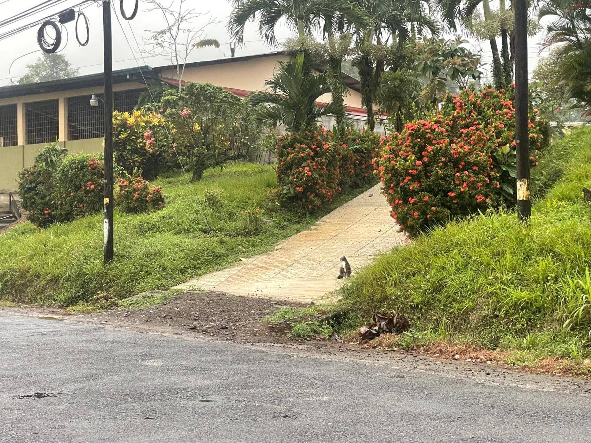 Hotel Tierra De Volcanes La Fortuna Eksteriør bilde